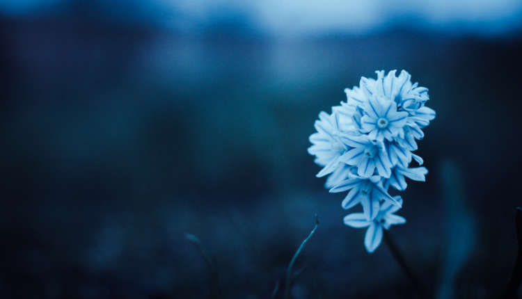 मिट्टी बनने से पहले